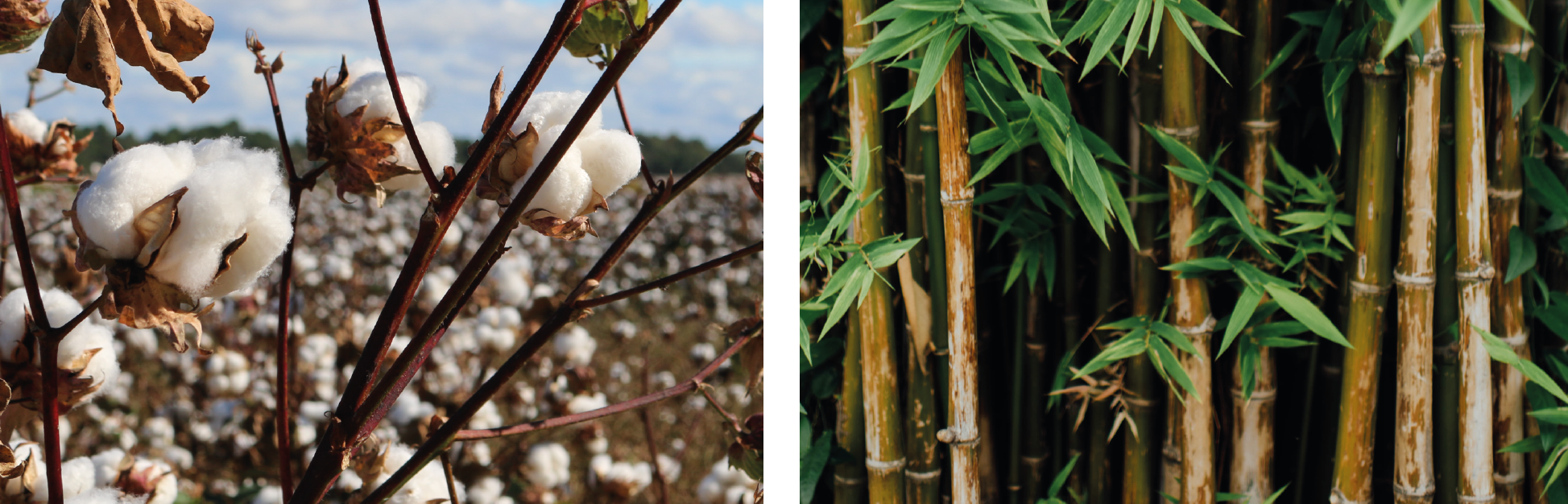 Organic cotton and bamboo sleepwear for children and infants.