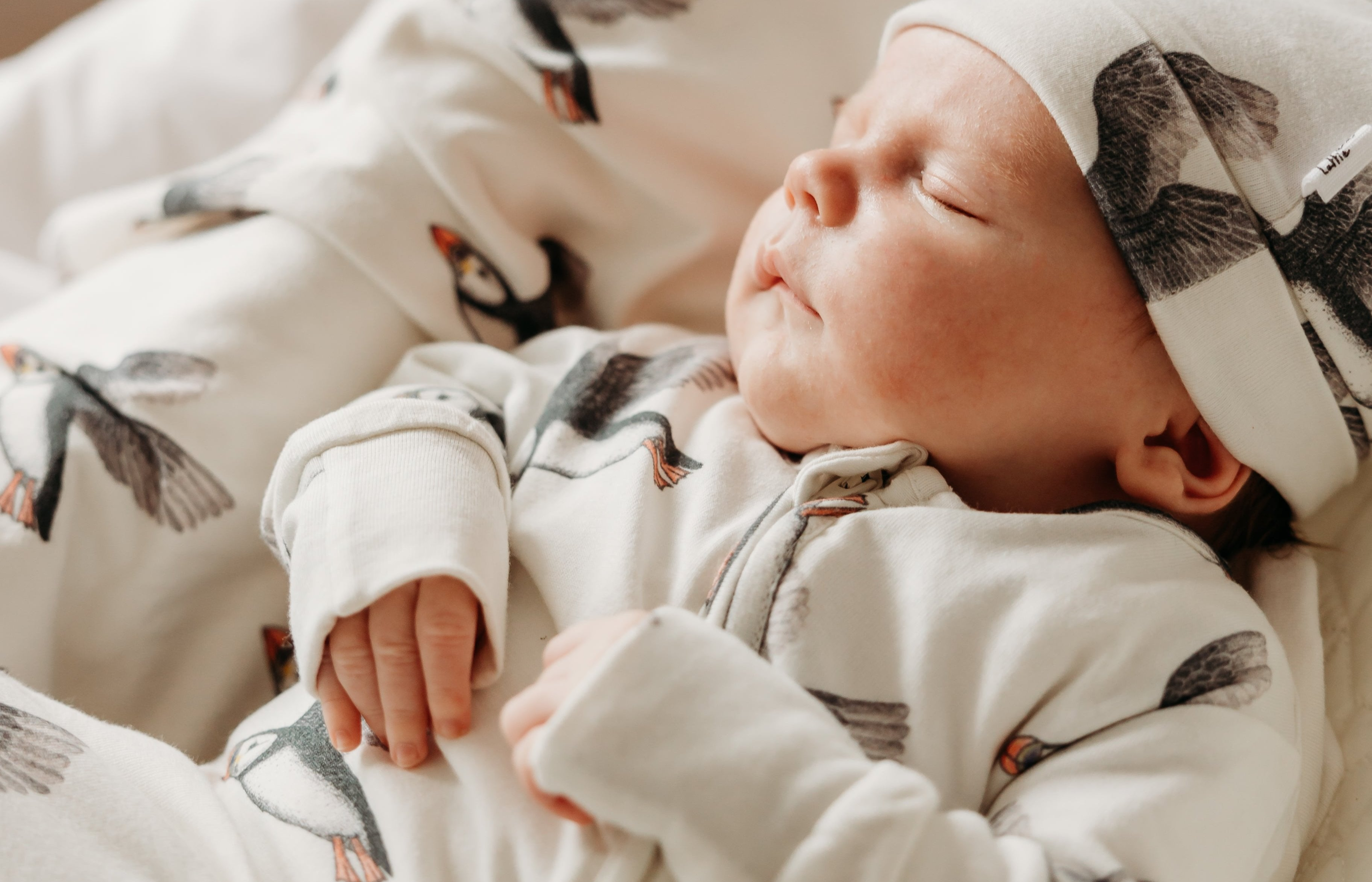 Puffin sleepsuit and puffin blanket. Fox and Lottie premium sleepwear for baby and toddlers.