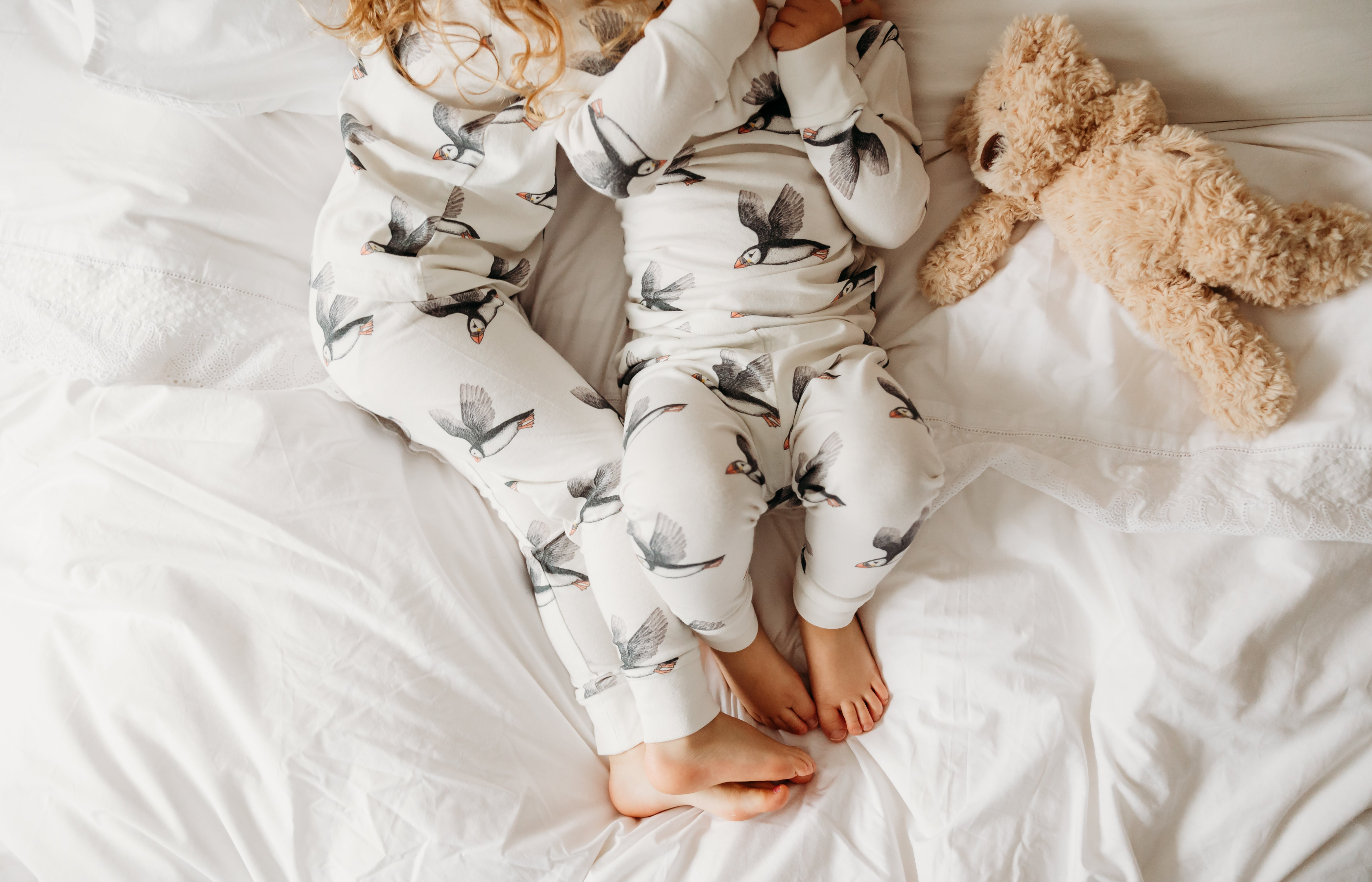 Baby sleepwear Animal Pyjamas blankets sleepsuits Fox and Lottie