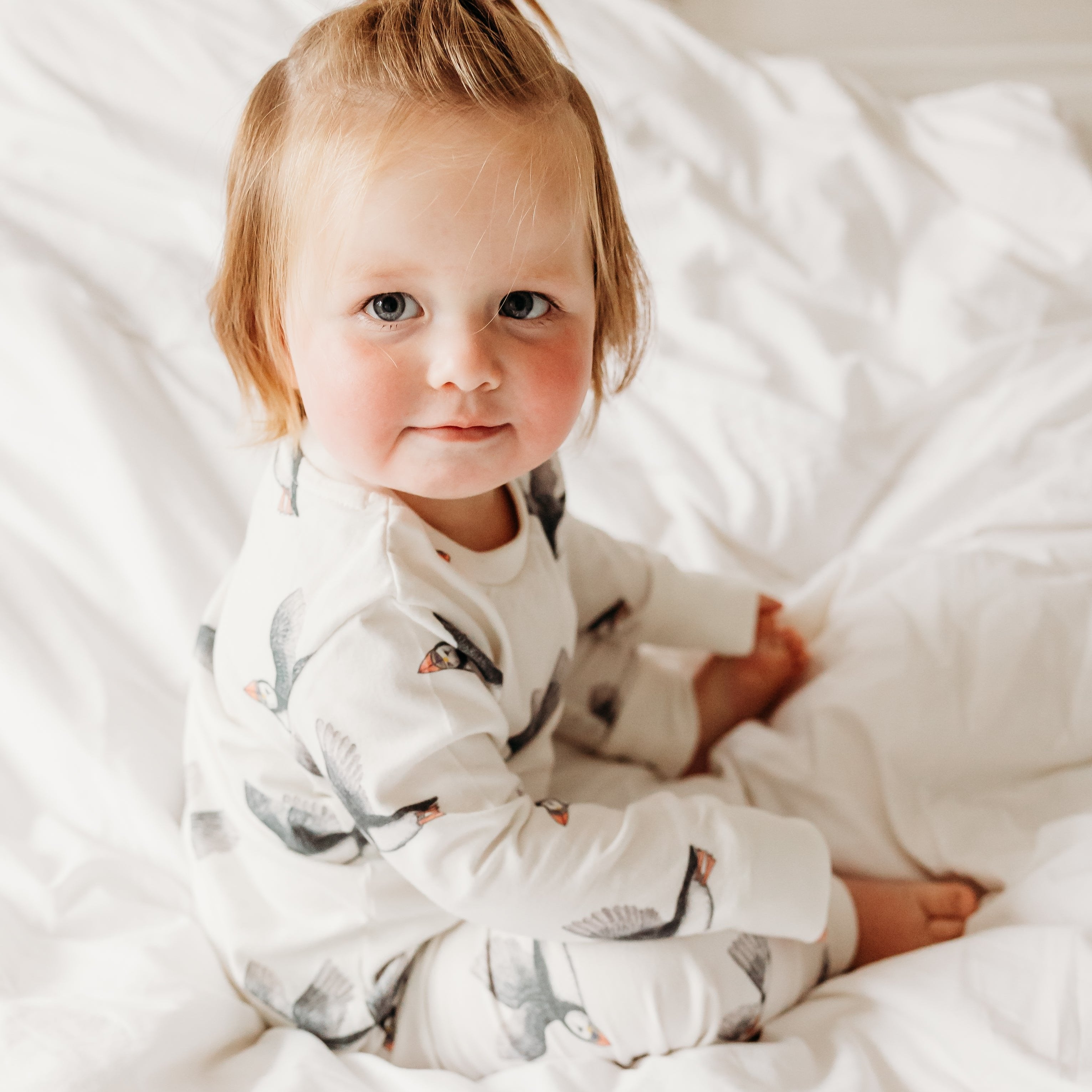 Puffin pyjamas, fox and lottie premium sleepwear